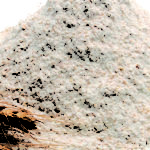 Whole flour and wheatears